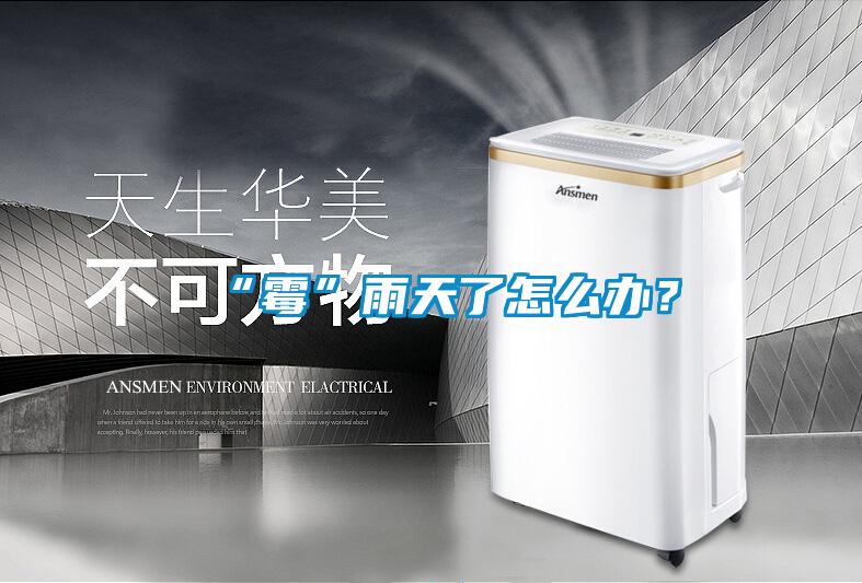 “霉”雨天了怎么辦？