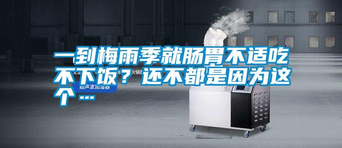 一到梅雨季就腸胃不適吃不下飯？還不都是因?yàn)檫@個(gè)…