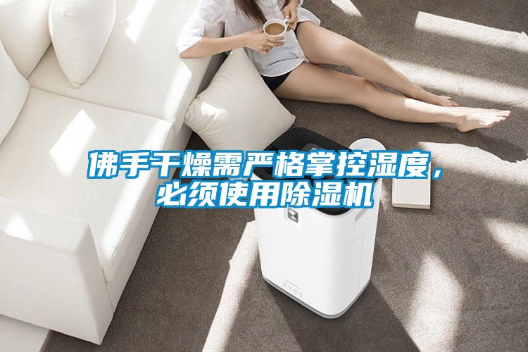 佛手干燥需嚴(yán)格掌控濕度，必須使用除濕機(jī)