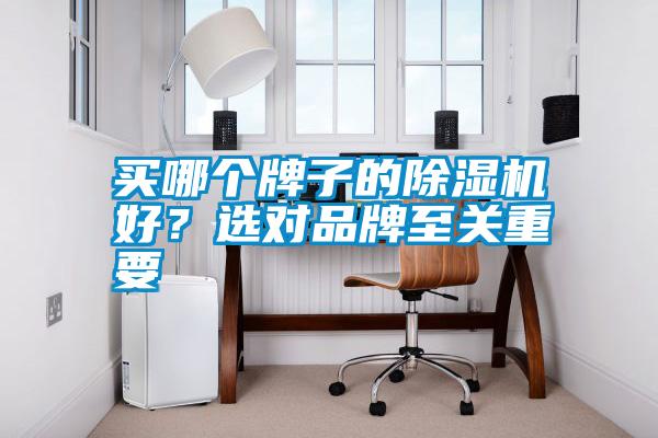 買哪個牌子的除濕機好？選對品牌至關重要