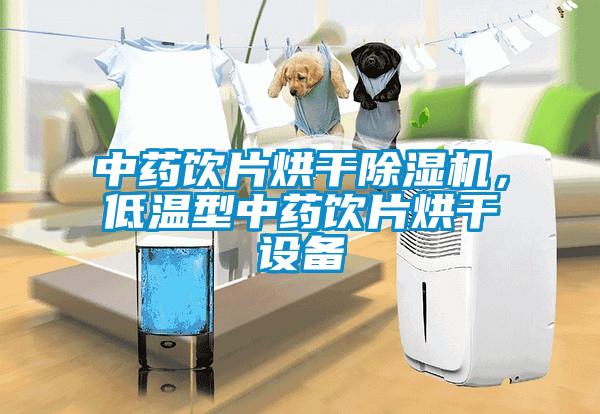 中藥飲片烘干除濕機(jī)，低溫型中藥飲片烘干設(shè)備