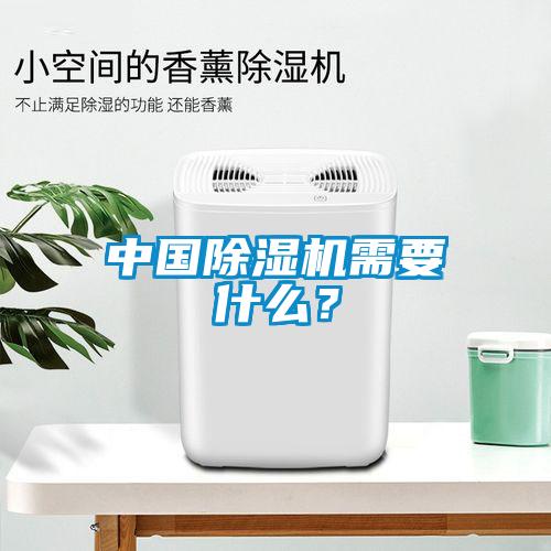 中國除濕機需要什么？