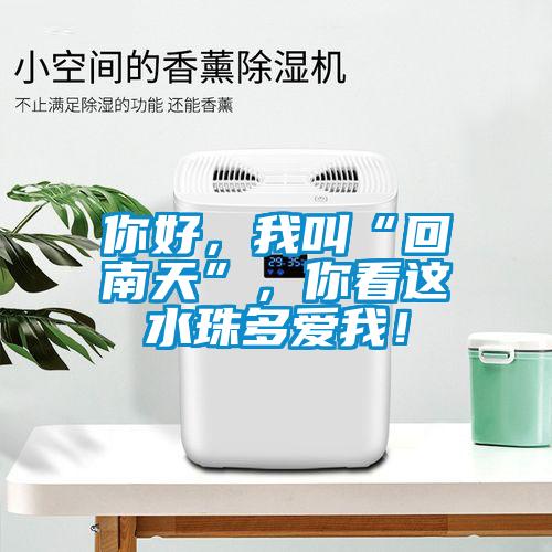 你好，我叫“回南天”，你看這水珠多愛(ài)我！