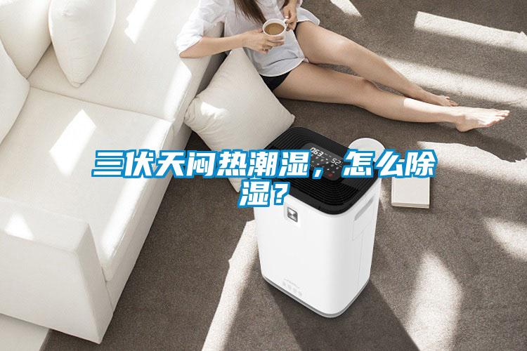 三伏天悶熱潮濕，怎么除濕？