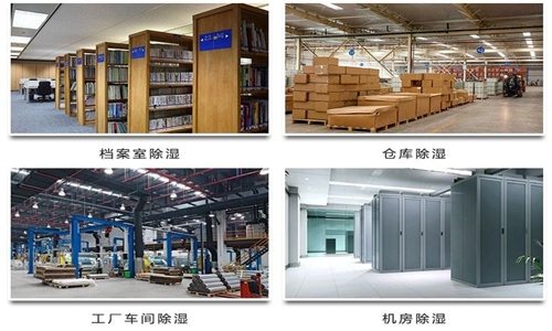 為什么竹筍烘干房需要除濕機？
