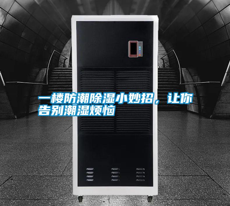 一樓防潮除濕小妙招，讓你告別潮濕煩惱