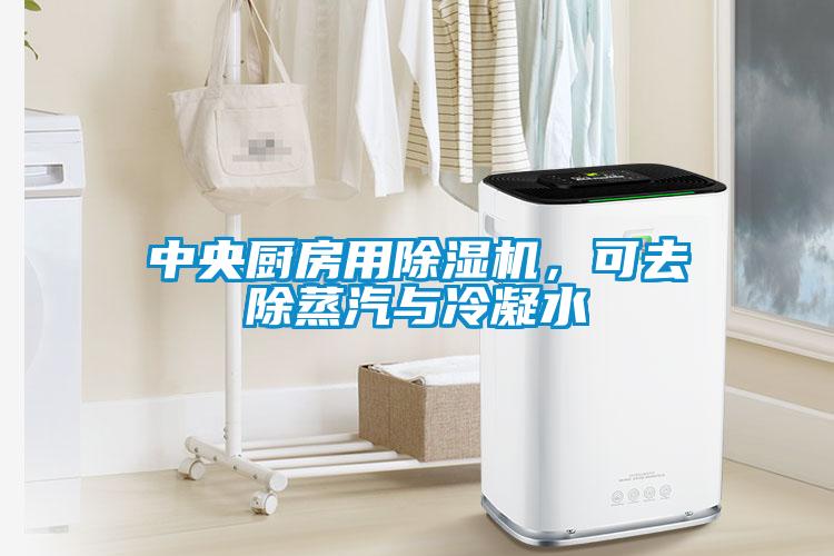 中央廚房用除濕機(jī)，可去除蒸汽與冷凝水
