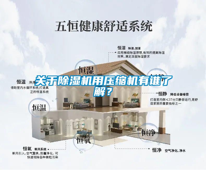 關(guān)于除濕機(jī)用壓縮機(jī)有誰(shuí)了解？