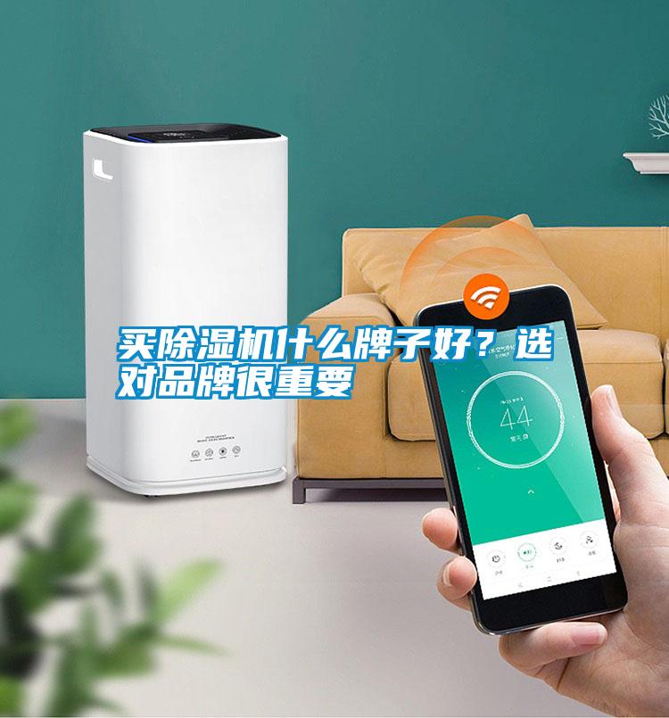 買除濕機什么牌子好？選對品牌很重要