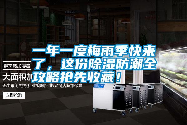 一年一度梅雨季快來了，這份除濕防潮全攻略搶先收藏！