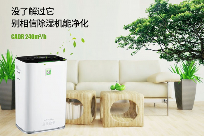 一到回南天狗狗就感冒+皮膚病，怎么辦？