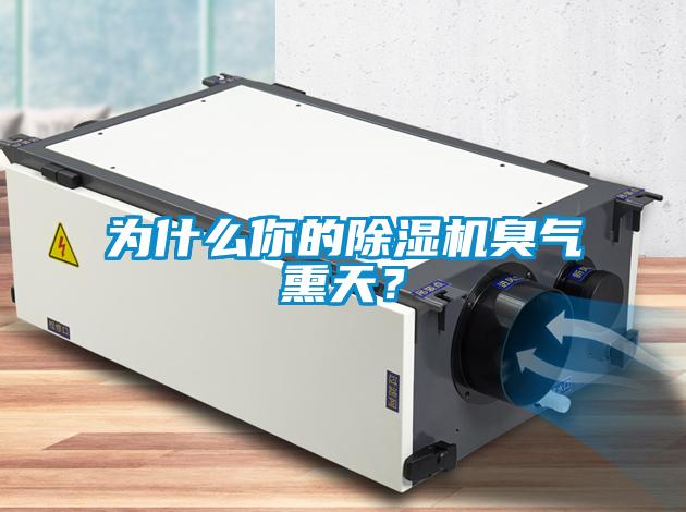 為什么你的除濕機(jī)臭氣熏天？