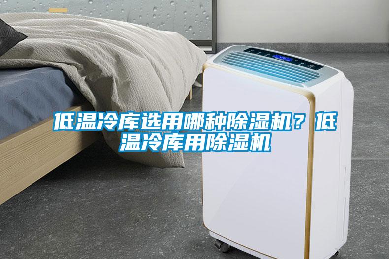 低溫冷庫(kù)選用哪種除濕機(jī)？低溫冷庫(kù)用除濕機(jī)