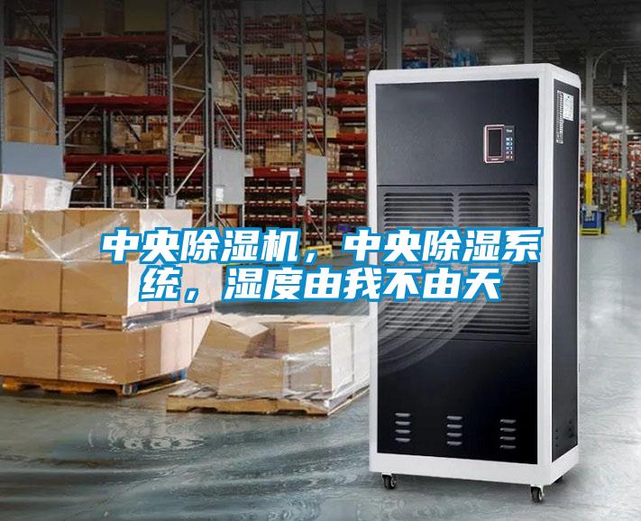 中央除濕機(jī)，中央除濕系統(tǒng)，濕度由我不由天