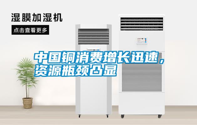 中國(guó)銅消費(fèi)增長(zhǎng)迅速，資源瓶頸凸顯