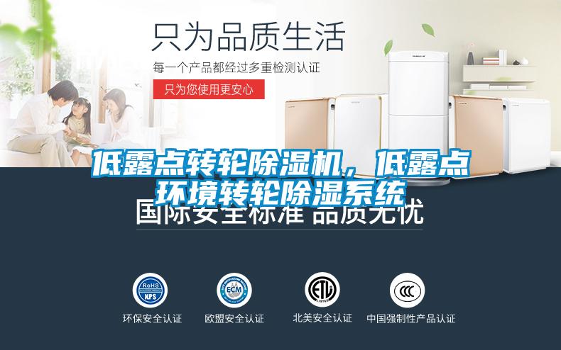 低露點轉(zhuǎn)輪除濕機(jī)，低露點環(huán)境轉(zhuǎn)輪除濕系統(tǒng)