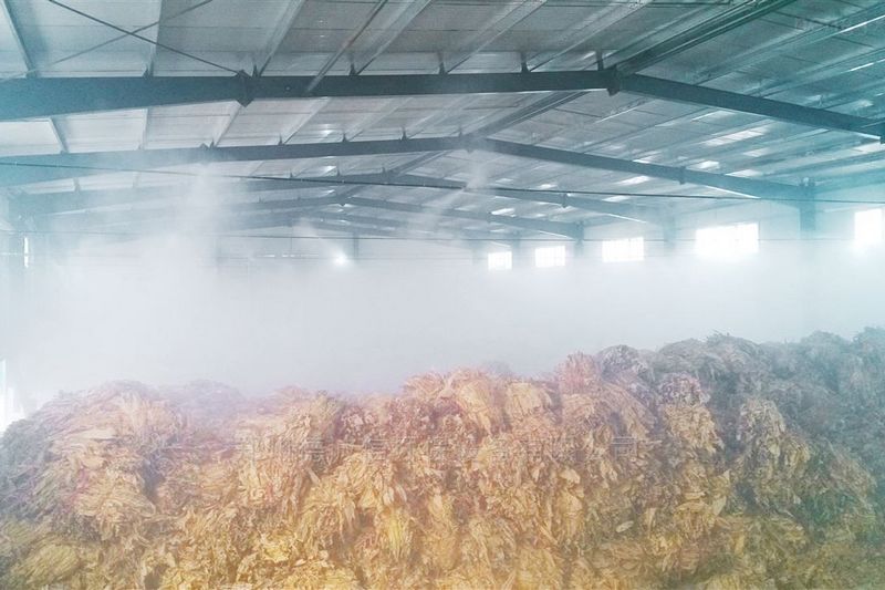 提升煙葉加工質(zhì)量，高效回潮很重要