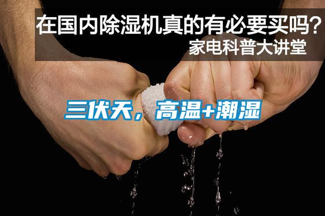 三伏天，高溫+潮濕