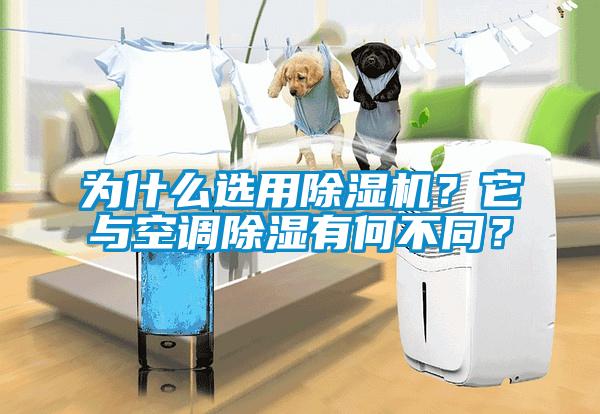 為什么選用除濕機？它與空調(diào)除濕有何不同？