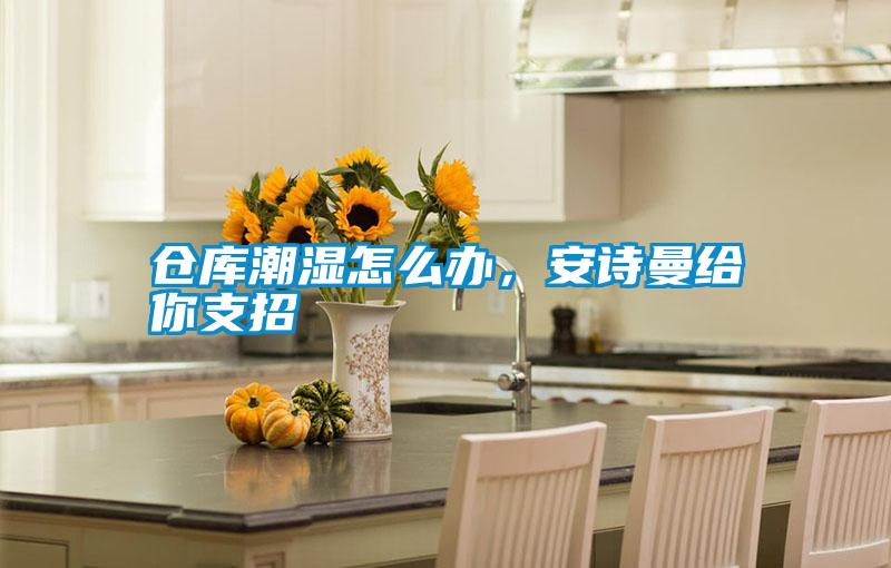 倉庫潮濕怎么辦，安詩曼給你支招