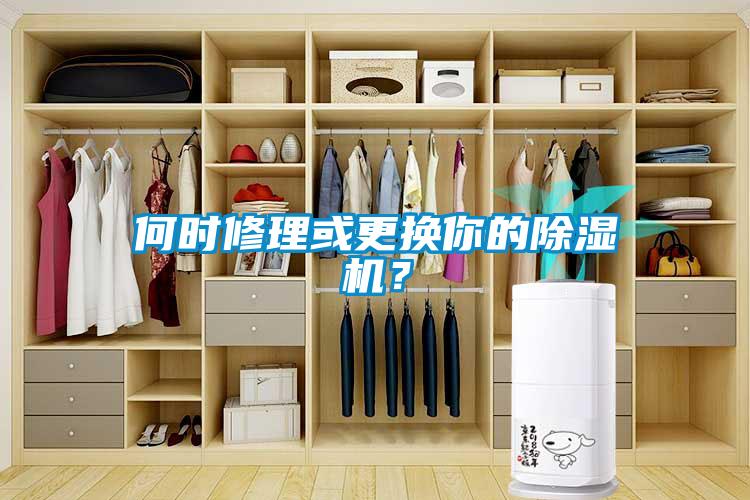 何時修理或更換你的除濕機？