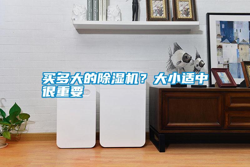 買多大的除濕機？大小適中很重要
