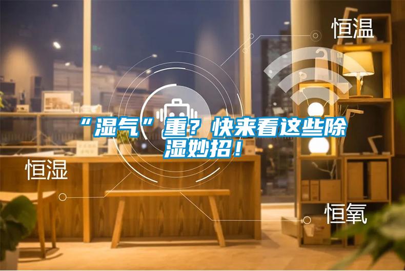 “濕氣”重？快來看這些除濕妙招！