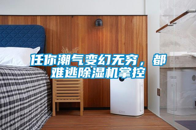 任你潮氣變幻無窮，都難逃除濕機(jī)掌控