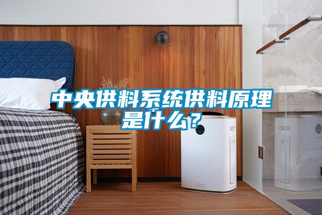 中央供料系統(tǒng)供料原理是什么？