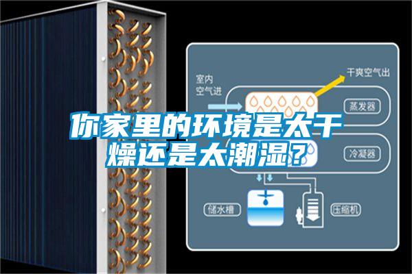 你家里的環(huán)境是太干燥還是太潮濕？