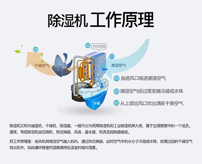 南方梅雨季到了房屋墻壁滲水、返潮怎么辦？