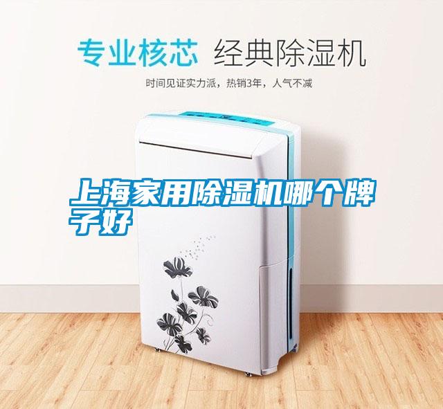 上海家用除濕機(jī)哪個(gè)牌子好