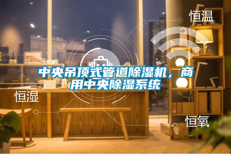 中央吊頂式管道除濕機(jī)，商用中央除濕系統(tǒng)