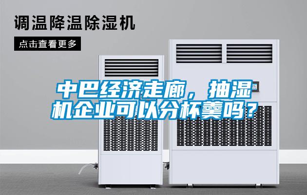 中巴經(jīng)濟(jì)走廊，抽濕機(jī)企業(yè)可以分杯羹嗎？