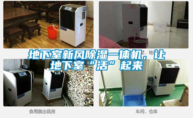 地下室新風(fēng)除濕一體機(jī)，讓地下室“活”起來