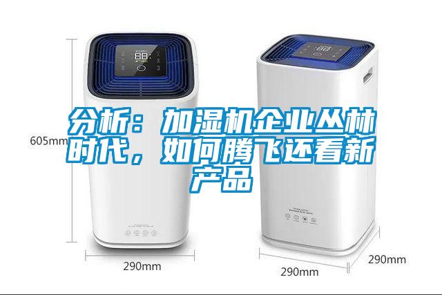 分析：加濕機(jī)企業(yè)叢林時(shí)代，如何騰飛還看新產(chǎn)品