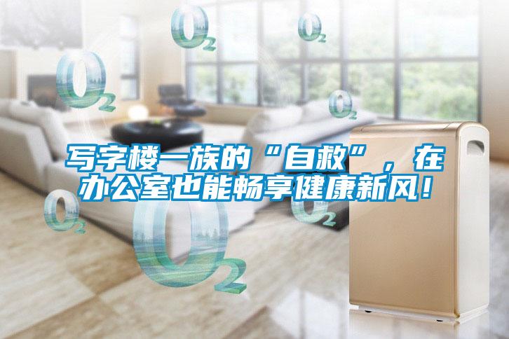 寫字樓一族的“自救”，在辦公室也能暢享健康新風(fēng)！