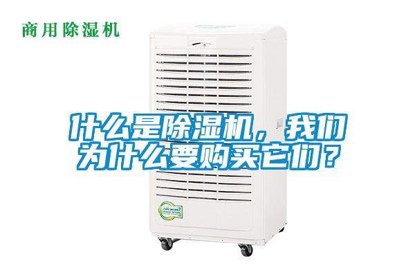 什么是除濕機，我們?yōu)槭裁匆徺I它們？