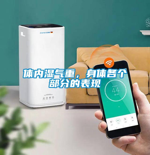 體內(nèi)濕氣重，身體各個(gè)部分的表現(xiàn)