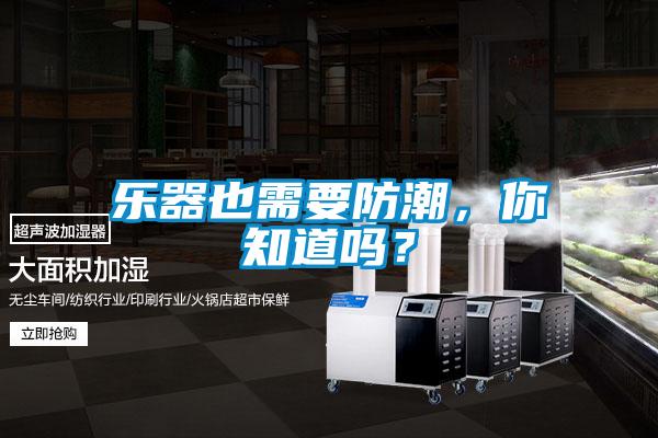 樂器也需要防潮，你知道嗎？