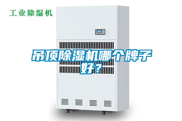 吊頂除濕機(jī)哪個(gè)牌子好？