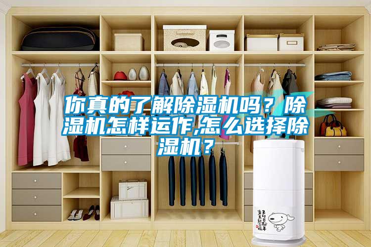 你真的了解除濕機(jī)嗎？除濕機(jī)怎樣運(yùn)作,怎么選擇除濕機(jī)？