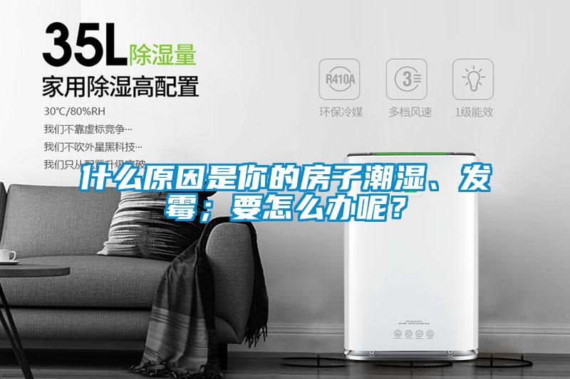 什么原因是你的房子潮濕、發(fā)霉；要怎么辦呢？