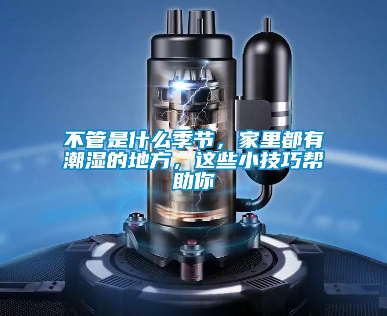 不管是什么季節(jié)，家里都有潮濕的地方，這些小技巧幫助你