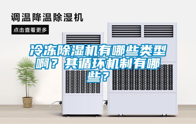 冷凍除濕機(jī)有哪些類型??？其循環(huán)機(jī)制有哪些？