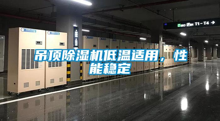 吊頂除濕機(jī)低溫適用，性能穩(wěn)定
