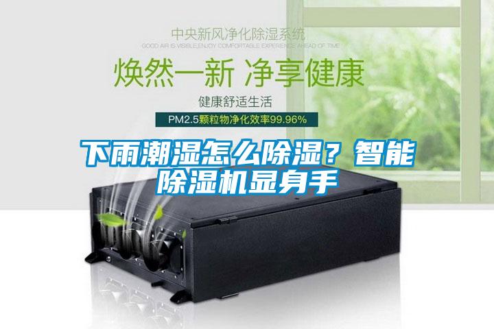 下雨潮濕怎么除濕？智能除濕機(jī)顯身手
