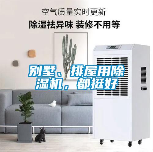 別墅、排屋用除濕機(jī)，都挺好