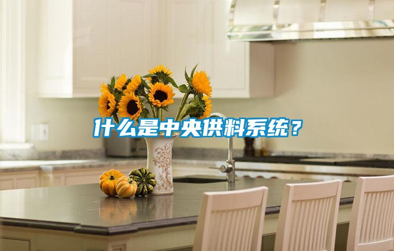 什么是中央供料系統(tǒng)？