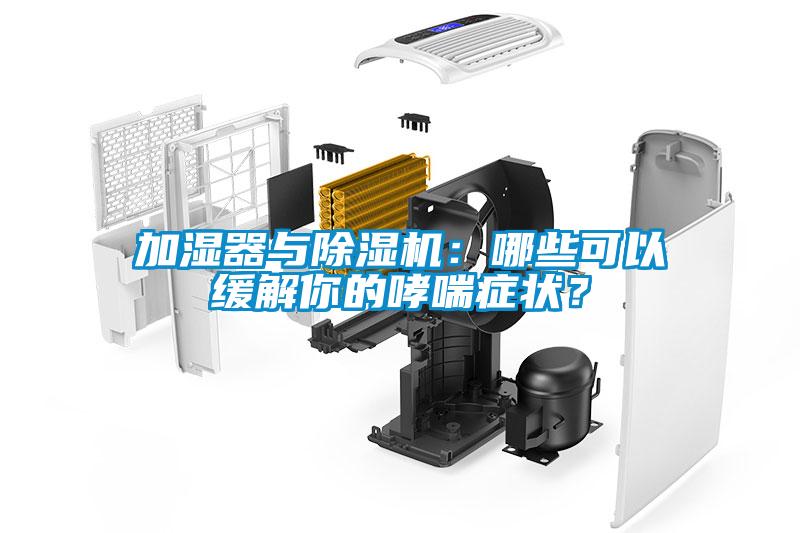 加濕器與除濕機(jī)：哪些可以緩解你的哮喘癥狀？